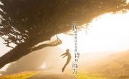 开云sport-孤星耀世，2026世界杯E组焦点战，范戴克铁血统治，波兰力克葡萄牙书写唯一传奇
