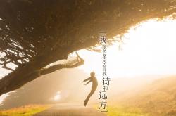 开云sport-孤星耀世，2026世界杯E组焦点战，范戴克铁血统治，波兰力克葡萄牙书写唯一传奇