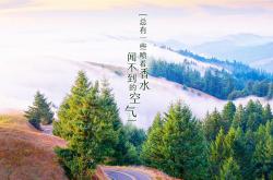 开云体育平台APP-冷门之夜，丹麦压倒性碾压法国，吉鲁独木难支难阻头名易主
