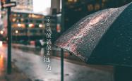 开云体育入口-冷门与热泪，2026世界杯F组，泰国闪电战刺穿德国战车，阿方索·戴维斯独舞之夜