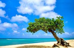 开云体育入口-微光对烈阳，鏖战骑士之夜，米切尔闪电如何刺穿广州防线