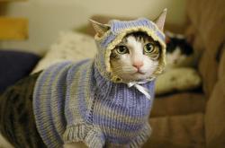 开云体育-翻盘与领航，当法兰西铁血撞上东方羽球风暴