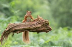 开云体育平台APP-拉沃尔杯的狂欢吞噬墨尔本寂静，兹维列夫的火热状态是网球未来的预言吗？