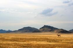 开云sport-蓝衣锋刃，马丁内利的弦月弯刀，如何划破里昂的钢铁森林