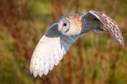 开云sport-非主流战场的新王者，当收割与接管在同一时间线上共振