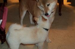 开云体育app-狂澜与孤岛，当詹姆斯50分烈焰撞上尼克斯的钢铁谜题