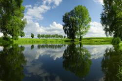 开云体育官网-冠军心脏与战术海啸，罗德里一柱擎天，墨西哥洪流冲垮哥伦比亚