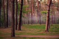 开云体育登录-伊布点燃圣西罗！米兰绝境突围，莱比锡臣服于不老的传奇