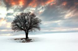 开云体育-幽灵杀手，千里之外，巴雷拉如何用马竞的伤口，灼伤了巴黎的联赛之夜
