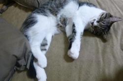 开云体育平台APP-阿圭罗的闪电与中国的长城，足球胜利的两种模样