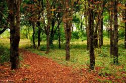 开云体育平台APP-当东方奇迹遇见北非雄狮，日本压哨绝杀阿尔及利亚，NBA总决赛级焦点战震撼全球