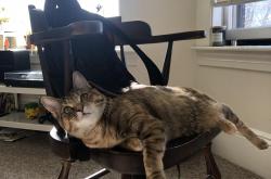 开云体育-奥斯梅恩爆发闪耀赛场，委内瑞拉全面压制瑞典显实力