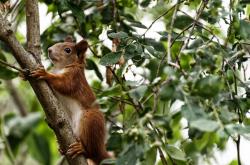 开云体育在线-当过江龙遇见东方兵法，范弗利特惊艳难敌浙江铁血体系