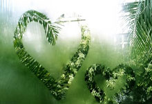 开云体育APP下载-排球赛程公布，焦点大战一触即发