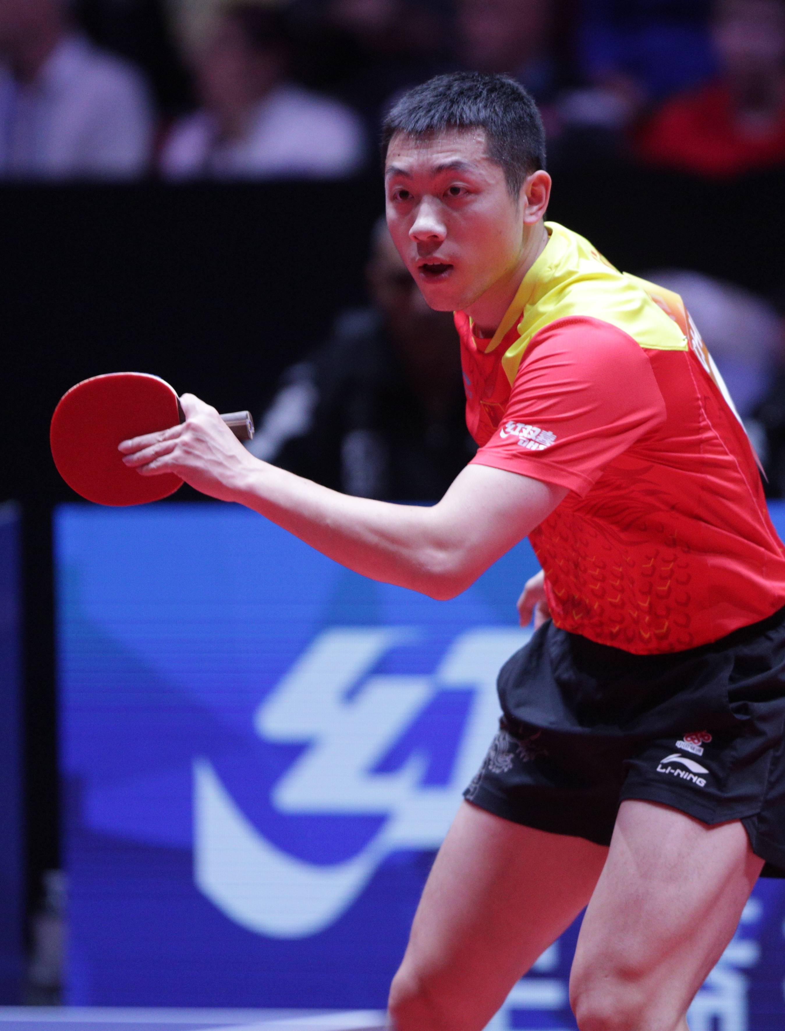 波兰乒乓球队完胜德国乒乓球队，许昕高光表现的简单介绍