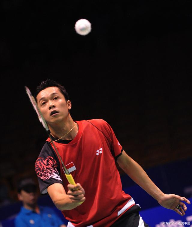中国羽毛球队绝杀印尼羽毛球队，陶菲克关键制胜的简单介绍