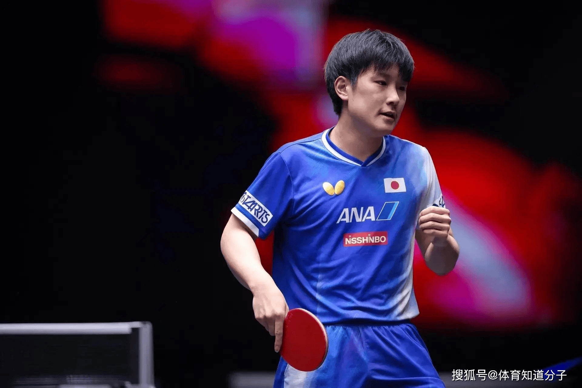 关于法国乒乓球队碾压德国乒乓球队,张本智和打破历史纪录的信息 关于法国乒乓球队碾压德国乒乓球队,张本智和打破历史纪录的信息