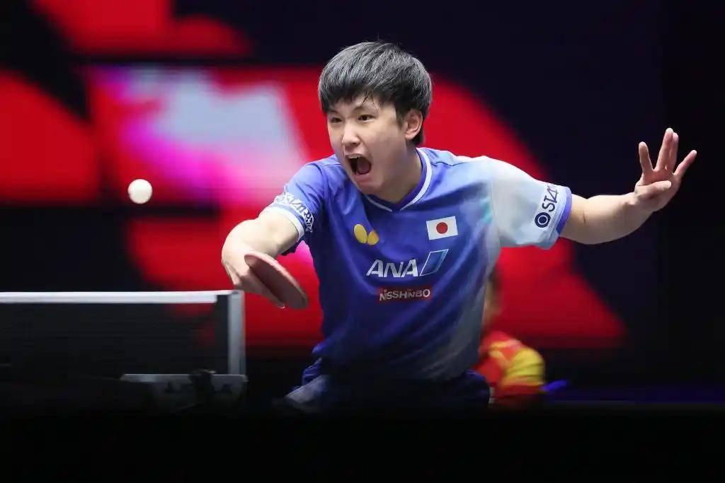 关于法国乒乓球队碾压德国乒乓球队,张本智和打破历史纪录的信息 关于法国乒乓球队碾压德国乒乓球队,张本智和打破历史纪录的信息