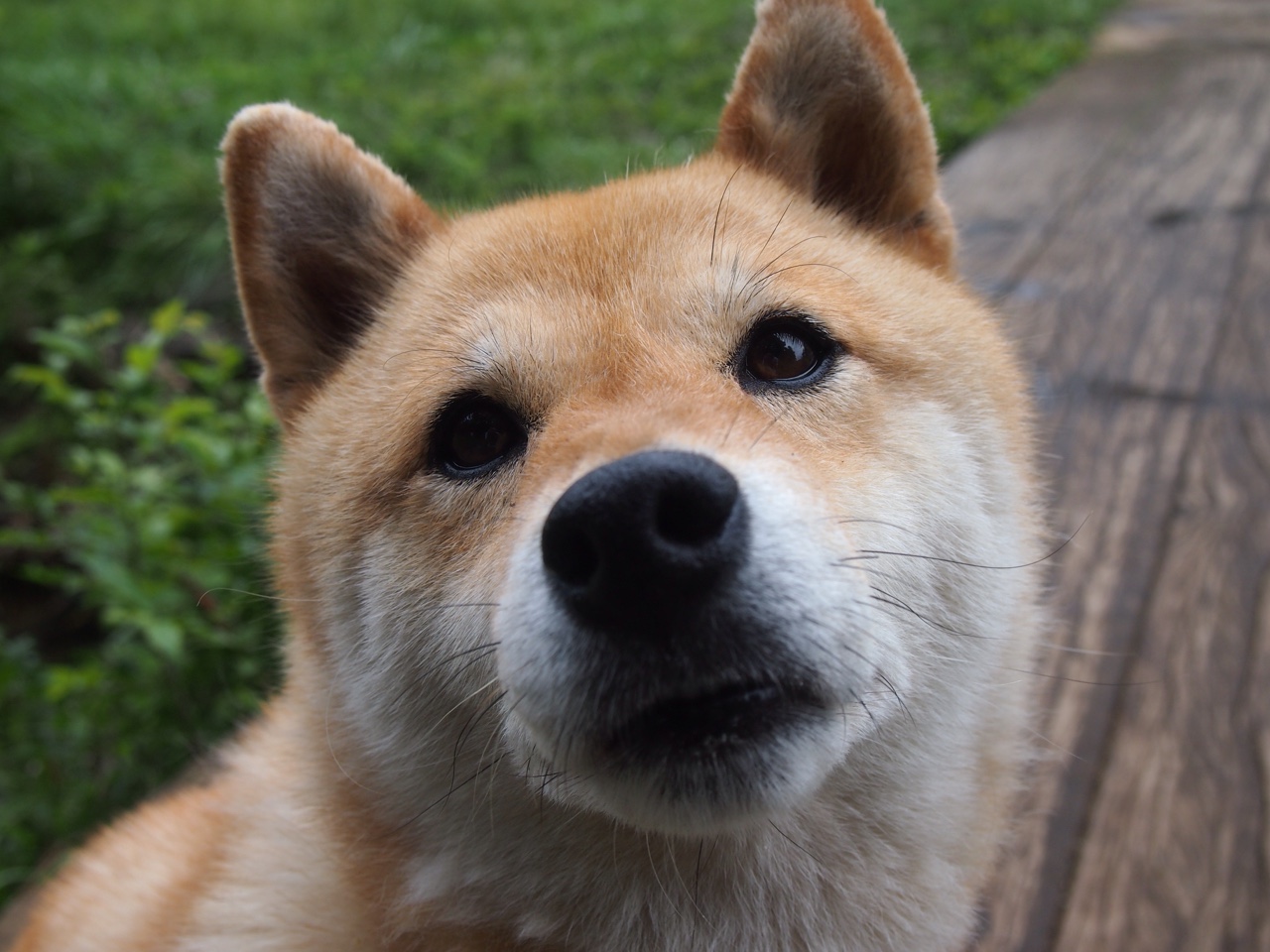 传奇续写新篇，印尼队轻取泰国队，马琳点燃赛场诠释唯一胜利