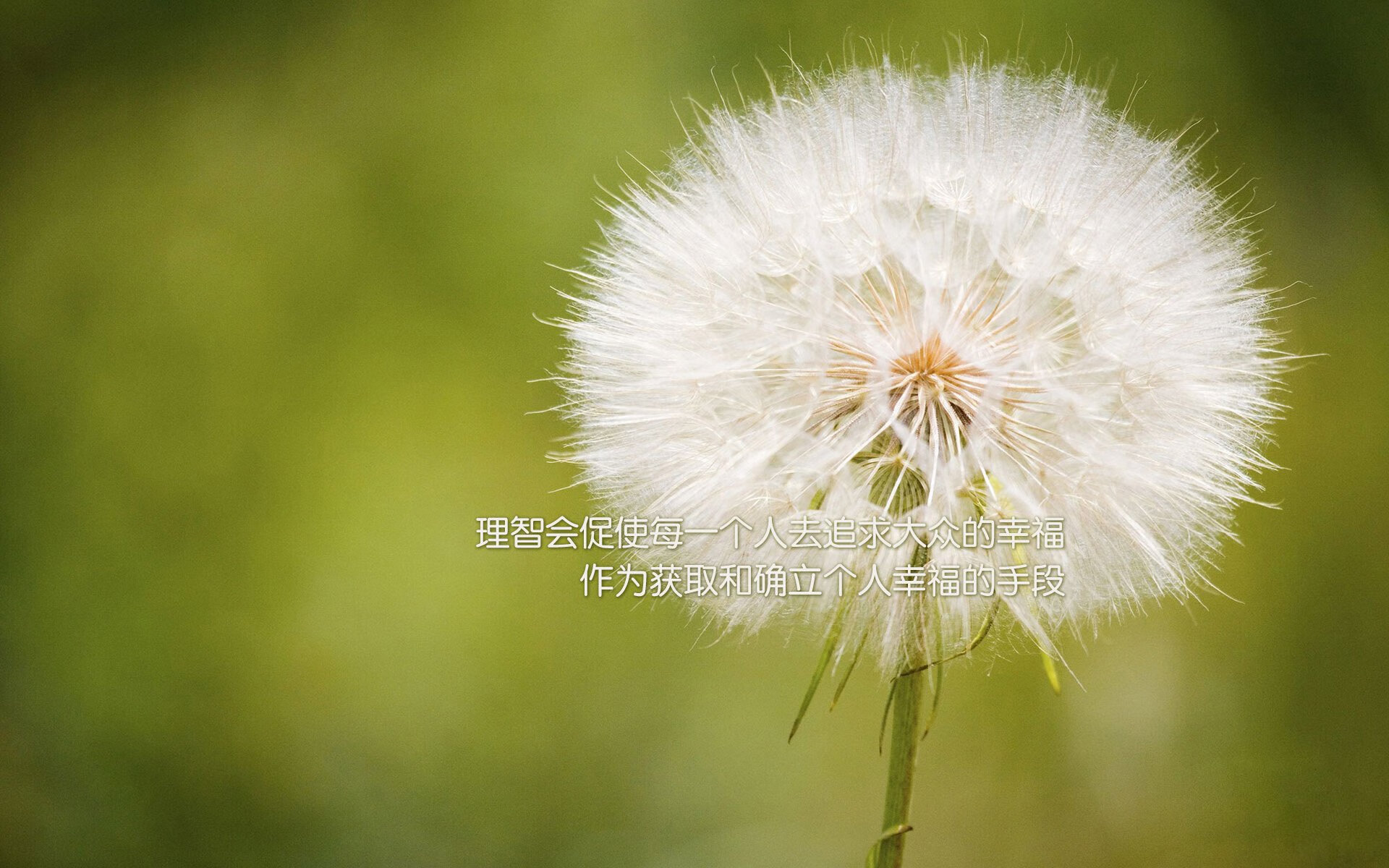 从最黑暗的48小时到最辉煌的72小时，温网溃败与年终逆转，兹维列夫的涅槃时刻