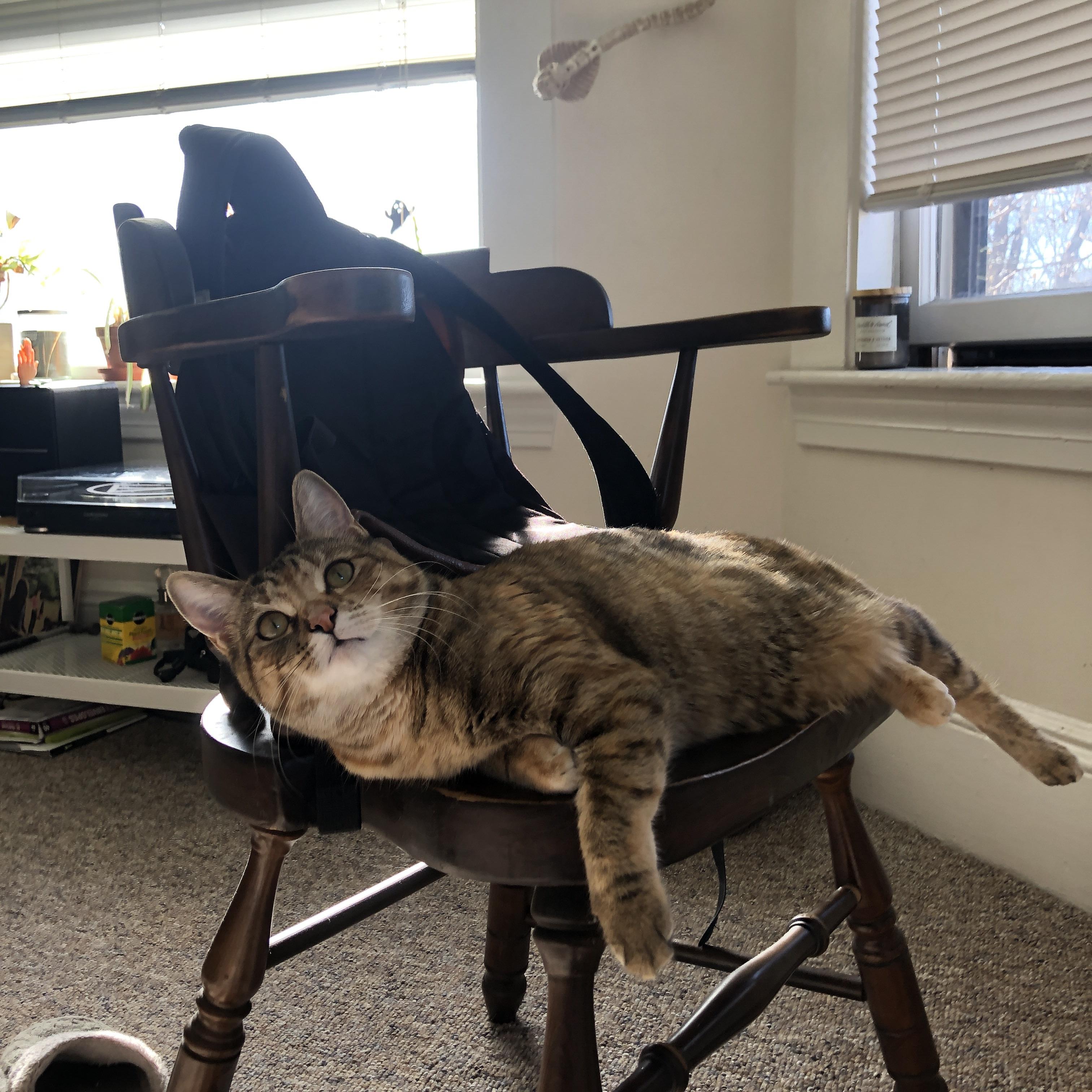 绿茵场与硬木地板的共鸣,当英超争冠夜遇上利拉德时刻