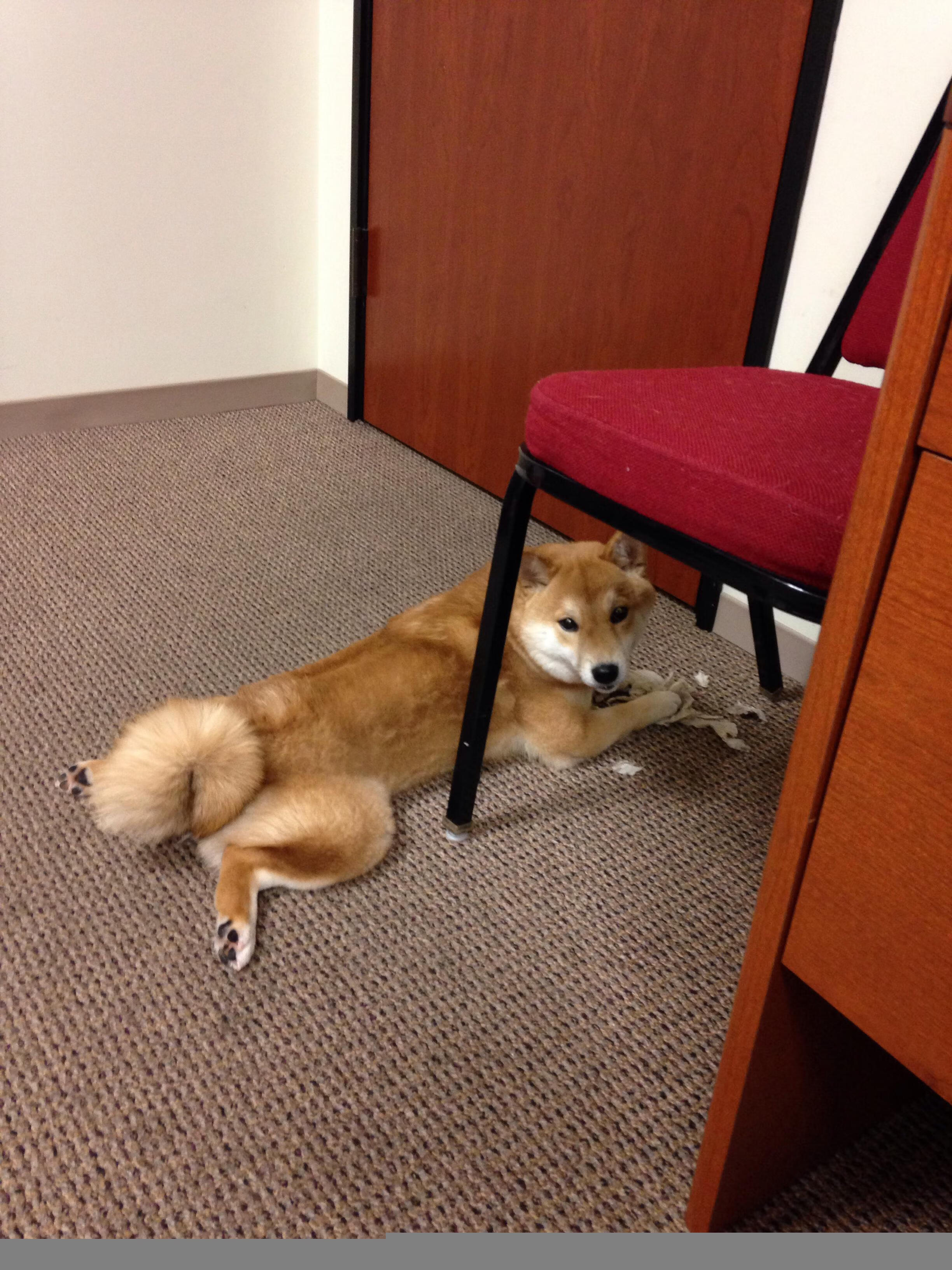 一位球员决定历史的傍晚,蒂亚戈如何用五分钟重写比赛方程式