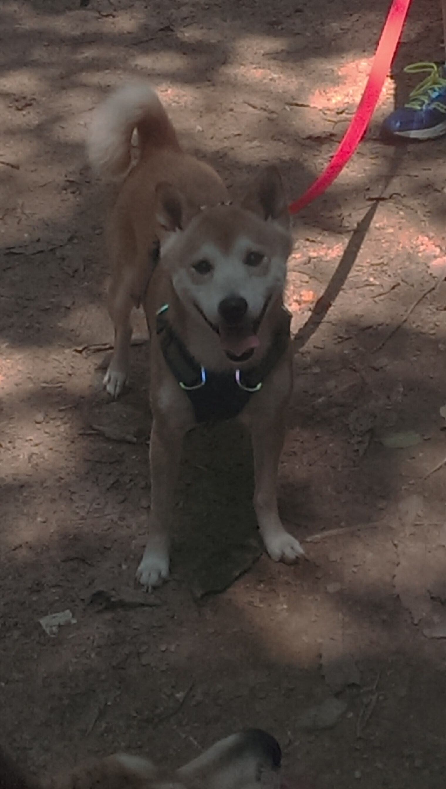 倒转的时钟，那个改写西部的抢七午后