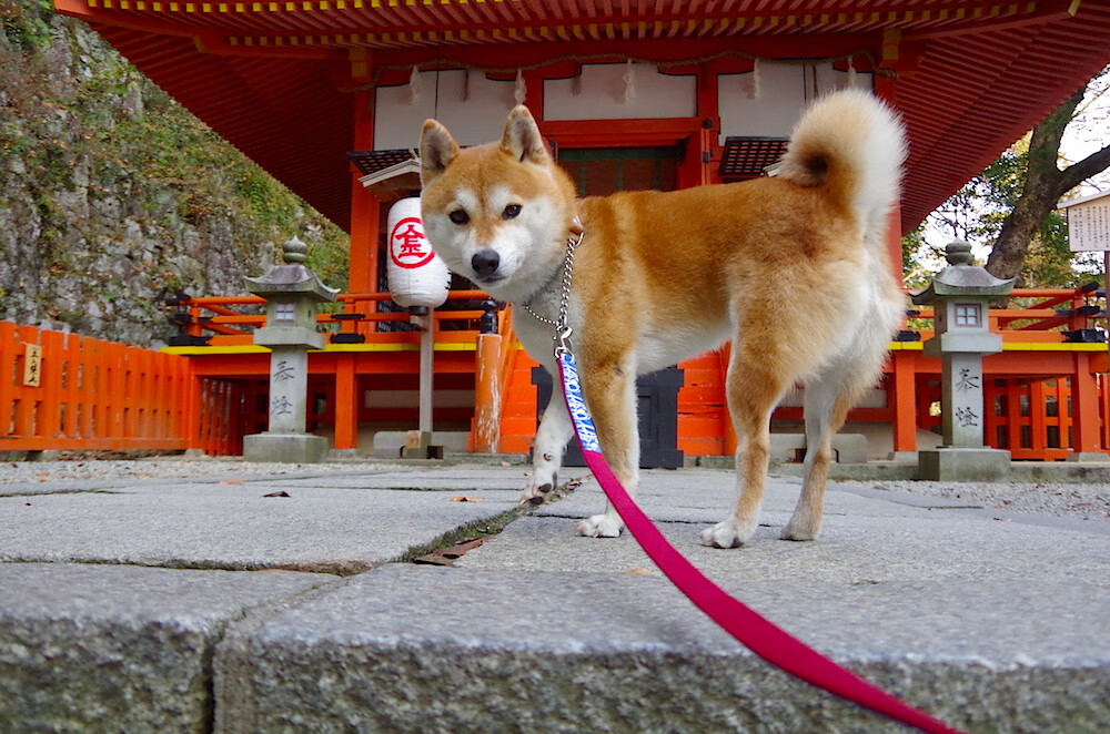 维京战吼与非洲舞步,当阿圭罗在篮球场接管抢七之战