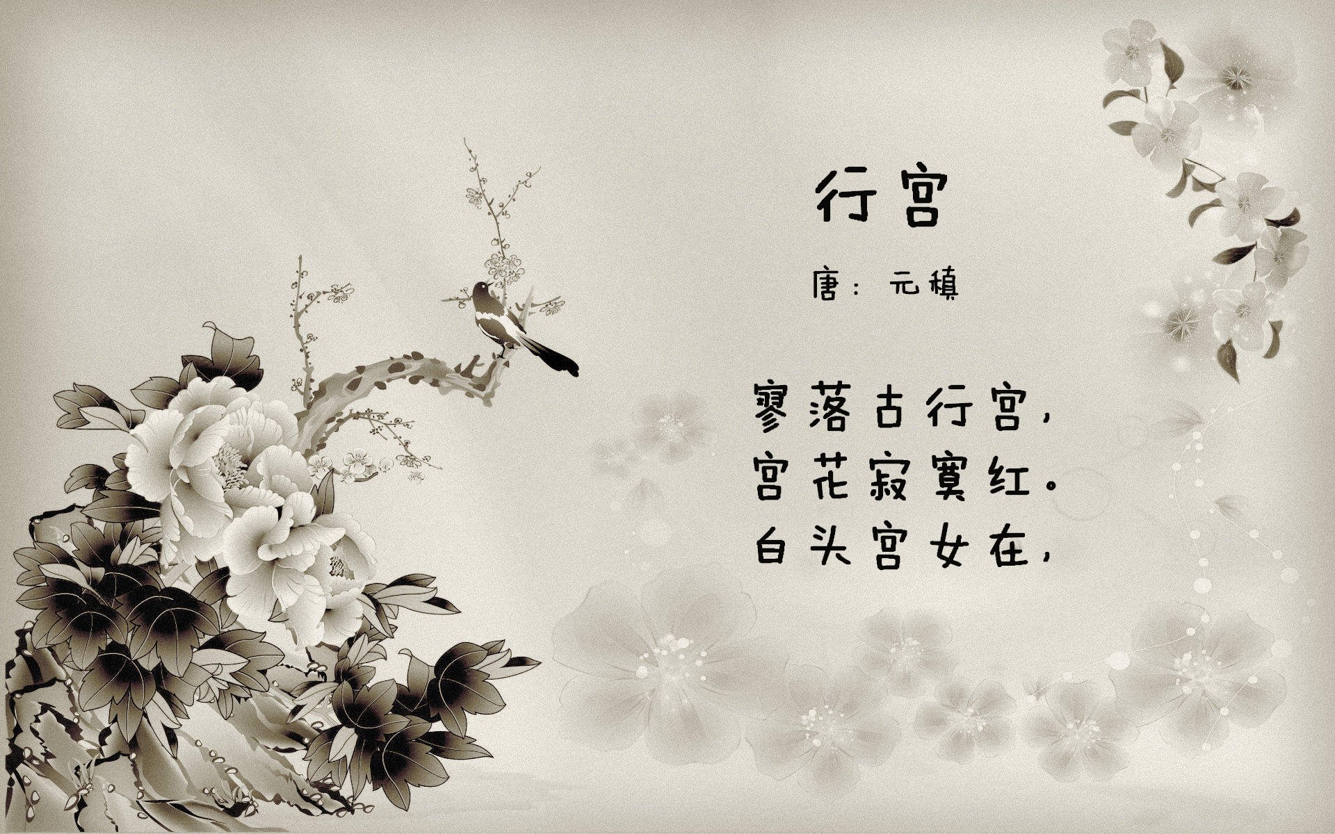 暗流汹涌，北极星与滔天巨浪