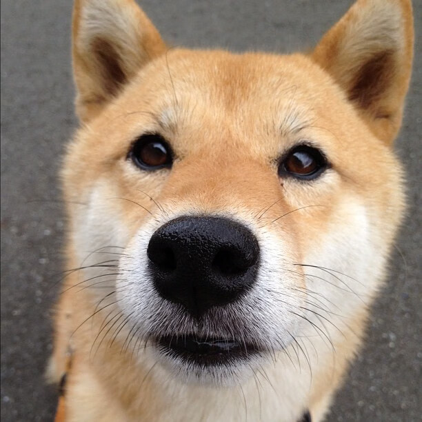 范弗利特三分暴雨撕裂天空，老鹰展翅提前终结活塞最后悬念