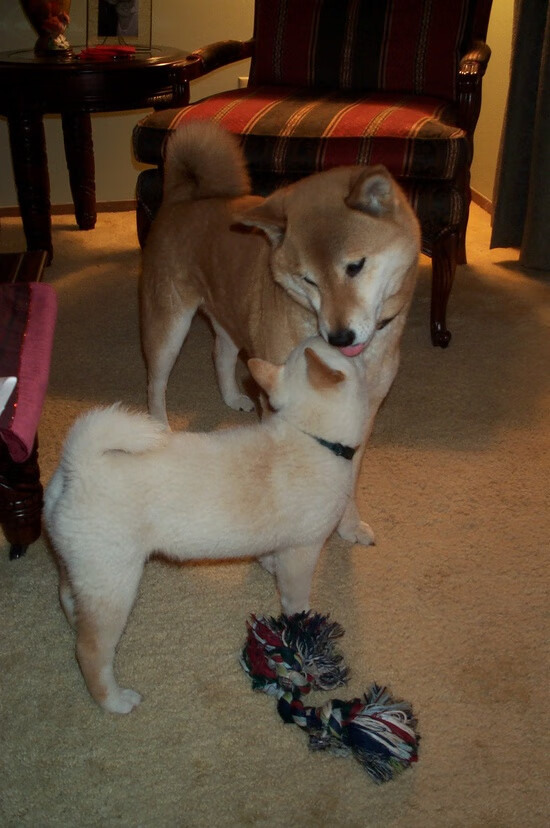 狂澜与孤岛，当詹姆斯50分烈焰撞上尼克斯的钢铁谜题