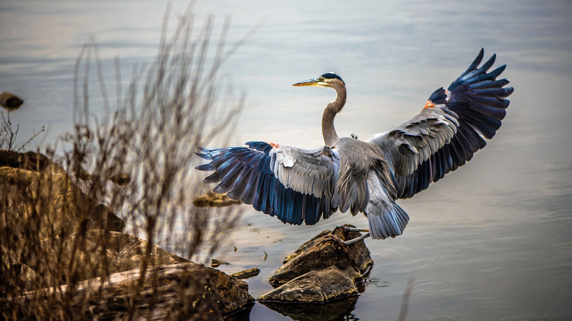 青绿对决，魔术翻盘背后的利拉德时间哲学