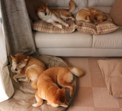 幻想狂欢，当费城76人对阵浙江广厦，欧文证明何为大场面心脏