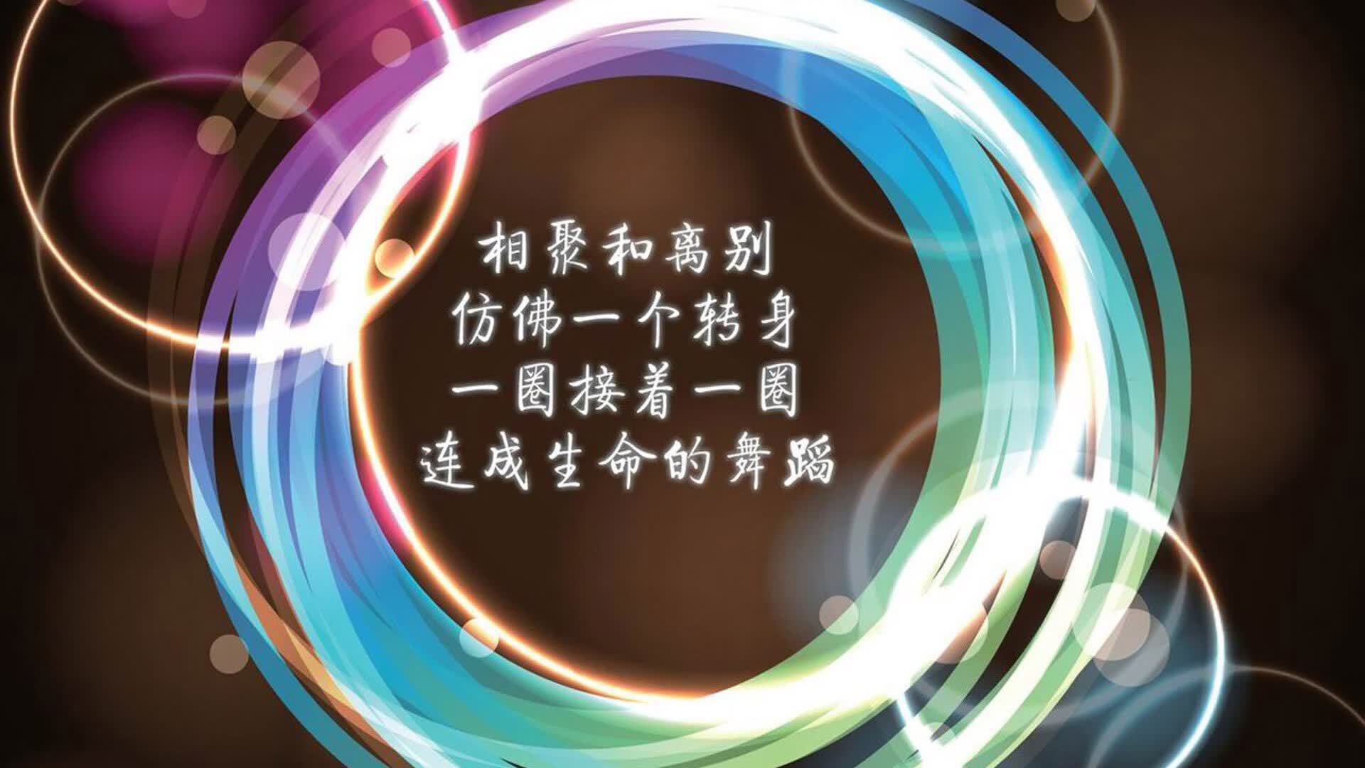 孤星耀世,当莱万多夫斯基在2026年世界杯淘汰赛改写厄瓜多尔与荷兰的命运天平