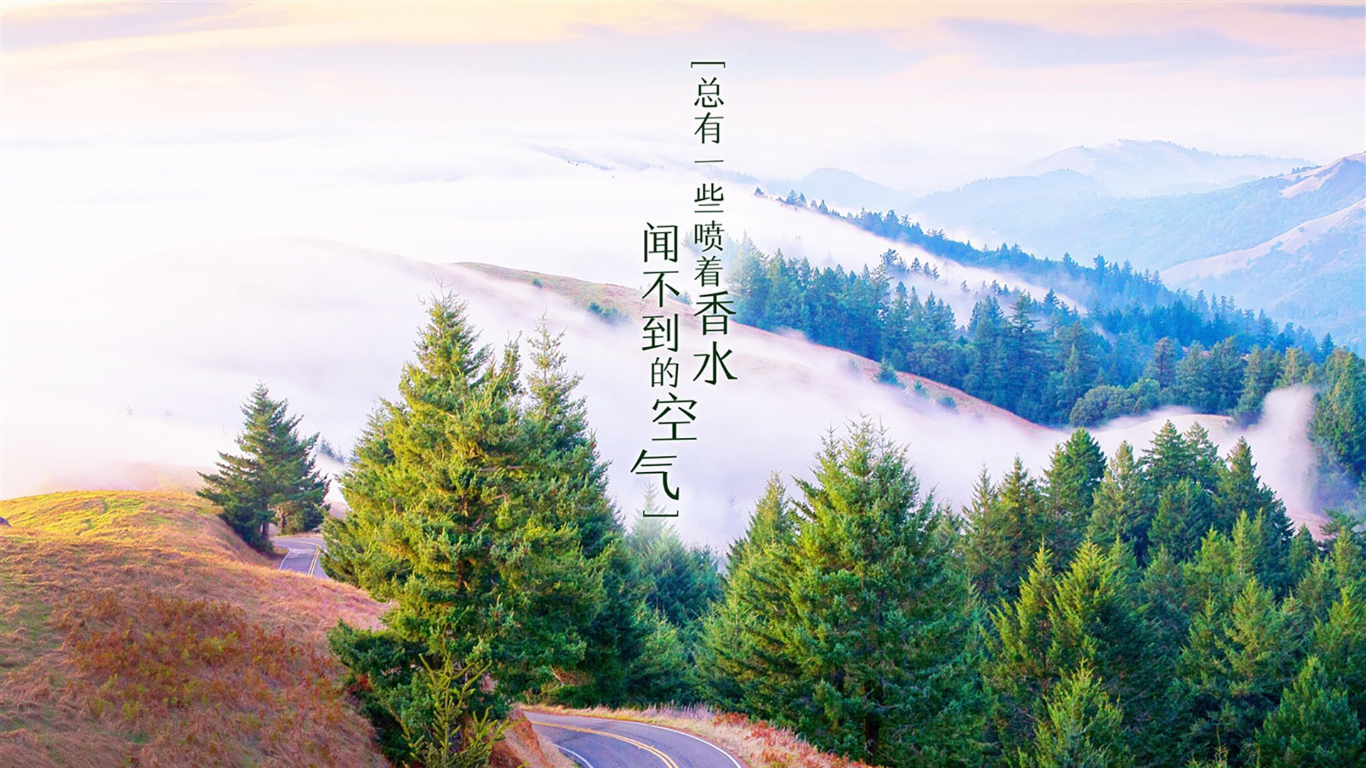 冷门之夜,丹麦压倒性碾压法国,吉鲁独木难支难阻头名易主